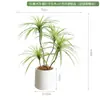Planta Verde Artificial de Luxo Leve Madeira do Milênio Decoração de Sala de Estar Planta em Vaso Flor Artificial Biônica Árvore Sangue de Dragão Ornamentos de Chão para Interior