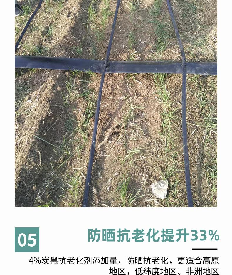 pe滴灌管_14.jpg