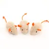 Peluche de hámster, ardilla, hámster dorado, erizo, petauro del azúcar, chinchilla, juguete para morder para aliviar el aburrimiento, hámsteres pequeños reales y falsos