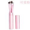 Juego de 5 pinceles para sombras de ojos, lana de poni animal, tubo de aluminio, 5 pinceles de maquillaje, juego completo de herramientas de maquillaje, pincel de cubo