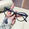 Óculos Kedun Color Block Cat-Eye Sem Grau Modelo Novo 2025 Luz Azul Anti-Reflexo Moda Retrô Armações de Óculos Color Block Podem Ser Equipadas com Lentes de Grau