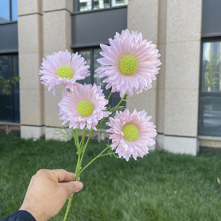 4头单支虫草花-sxwlx-粉色.JPG