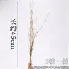 Decoração para Prato de Sashimi, Ornamentos de Flores e Grama para Sushi, Decoração de Pratos de Hotel, Embelezamentos para Frutos do Mar, Montagem Artística de Pratos, Estilo Japonês