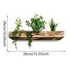 Amazon novas plantas verdes em vasos quarto sala de estar varanda decoração de fundo para casa adesivos de parede autoadesivos de PVC atacado