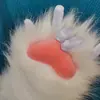 Estilo kig garra de bestia ajustadas garra guantes peludos producto terminado multicolor incluyendo guantes finos ribete cos lindo
