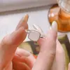 Anillo de Cubo de Azúcar de Plata de Ley s925 Silver Rhyme Nuevo Estilo Chino Jade Hetian Nan Hong Abierto Ajustable Anillo para Dedo Índice Anillo para Dedo Índice Estilo Viento