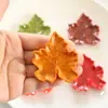 Acessórios Grandes de Resina Folha de Bordo Série de Plantas Acessórios DIY Ímã de Geladeira Semi-Acabado Enfeites Materiais Decorativos