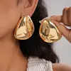 Brincos Geométricos Plissados Metálicos Brilhantes Transfronteiriços Europeus e Americanos, Brincos de Nicho de Alta Qualidade com um Visual Único e Estiloso