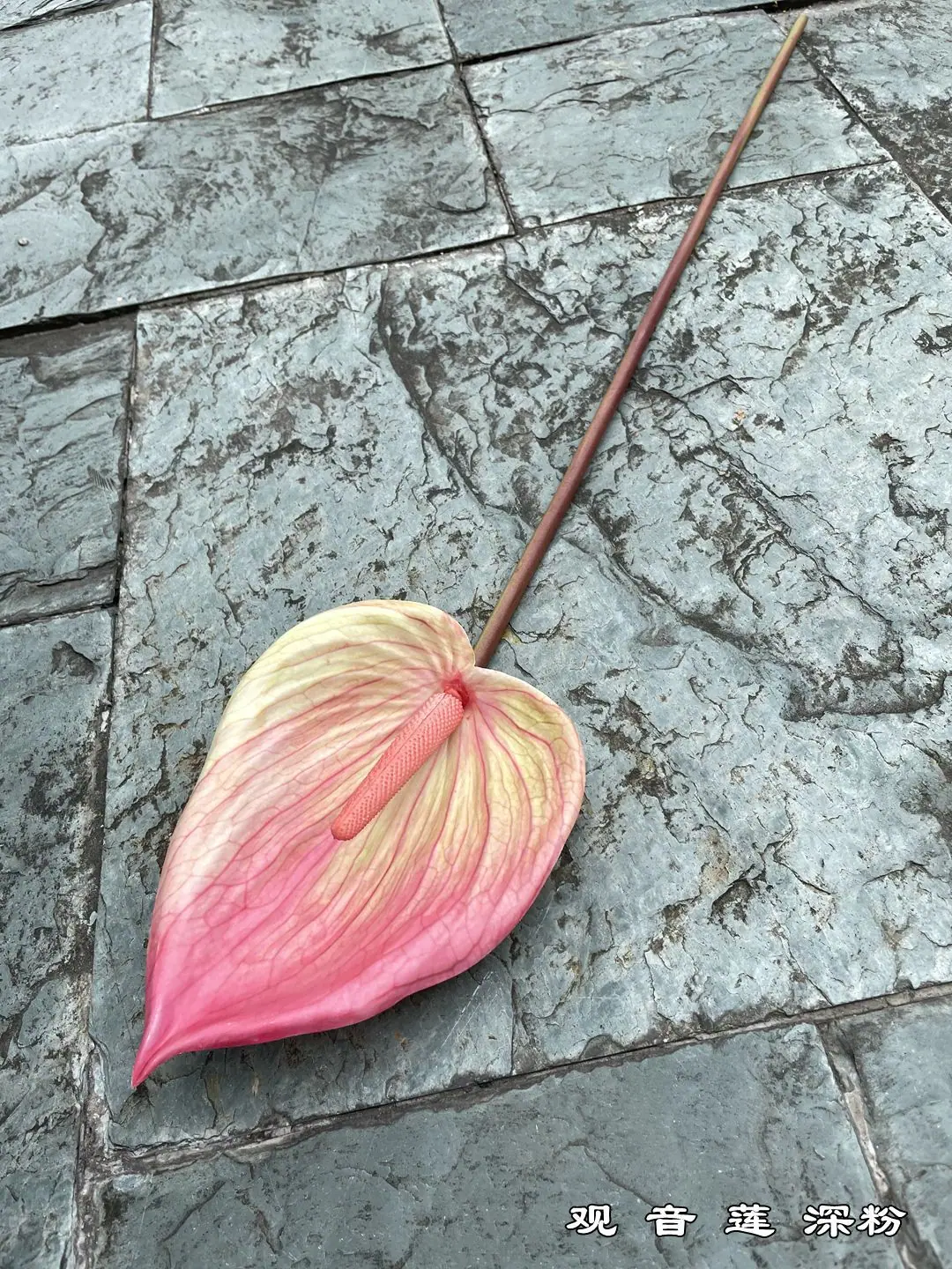 微信图片_20210721140405_副本.jpg
