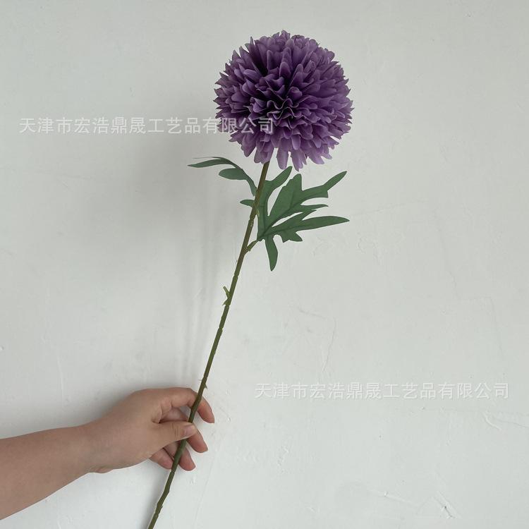 微信图片_202206141501371_副本