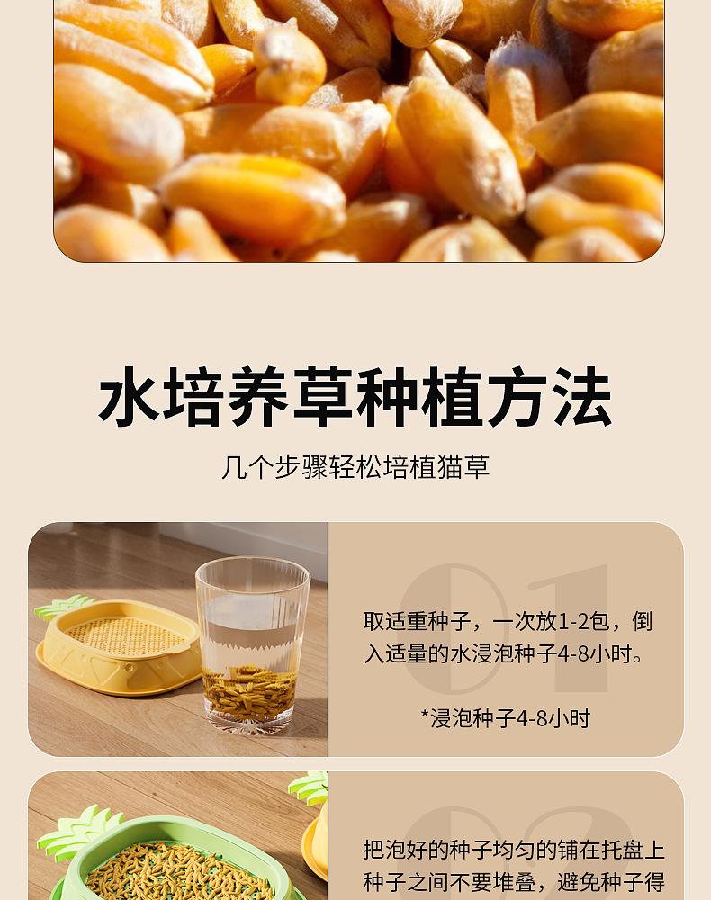详情页 (14).png
