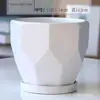 Maceta de Cerámica Tamaño Grande Oferta Especial Liquidación Interior Escritorio Balcón Suculenta Maceta Pequeña Clorofito Helecho Espárrago Maceta Simple Blanca