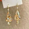 Pendientes de Gancho con Borla de Cristal Forma de Gota de Agua para Mujer 2025 Nuevo Estilo Popular Lujo Accesible Pendientes Elegantes de Gama Alta Pendientes