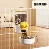 Jaula de Conejo Transparente Acrílica para Hogar Interior Caja de Cría para Mascotas Pequeñas de Una Sola Capa a Prueba de Escape Jaula Decorativa para el Hogar