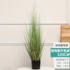 Simulação Reed Artificial Reed Grass Atacado Planta Falsa Shopping Decoração para Casa Cebola Dog Tail Grass Simulação Planta Verde