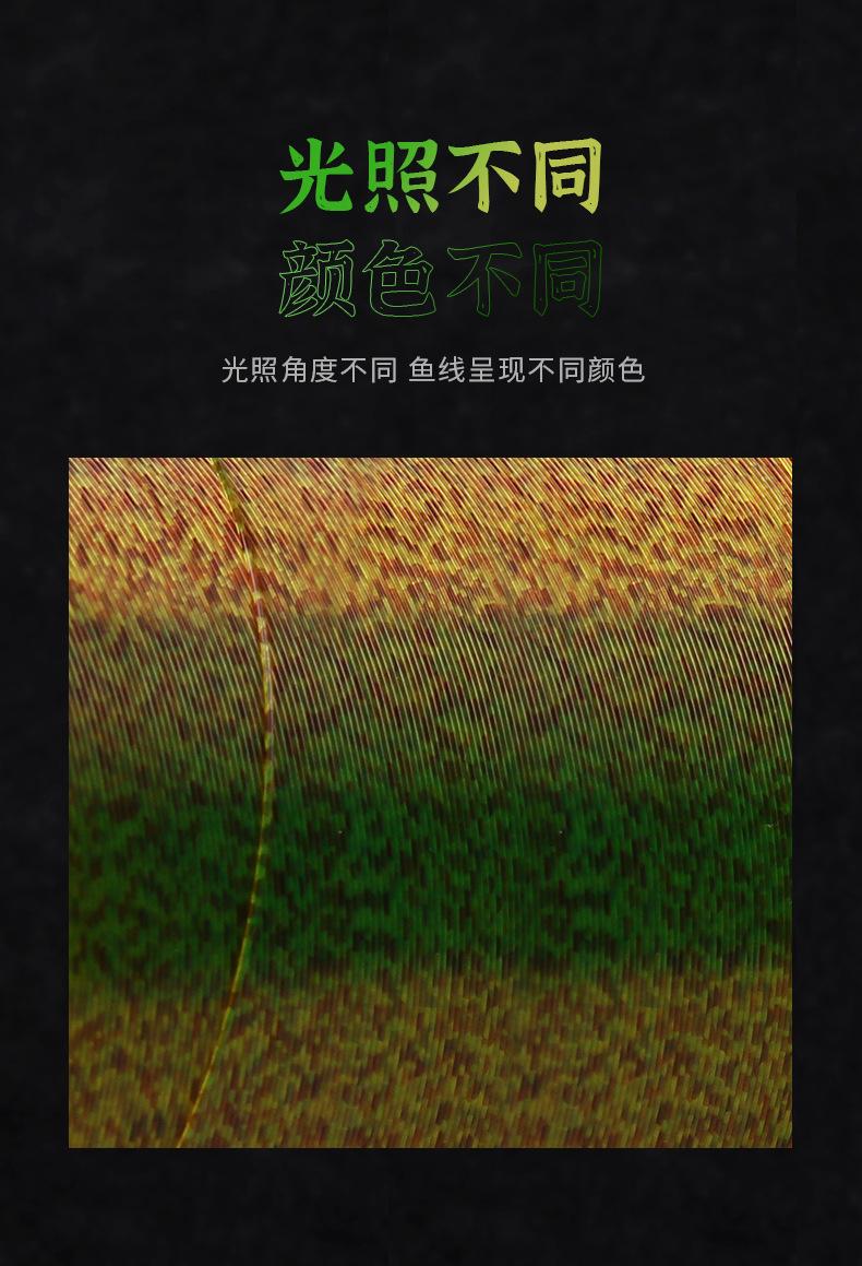 500m斑点线11_07.jpg