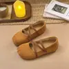 Comércio Exterior Transfronteiriço Sapatos Mary Jane de Veludo Feminino 2026 Primavera Outono Novos Slip-on Bico Redondo Solado Macio Casuais Versáteis Sapatos Únicos