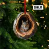 Adornos de Árbol de Acrílico Nuevos Transfronterizos para Animales Colgantes de Árbol de Navidad Impresión Plana de Mapache Decoraciones Colgantes