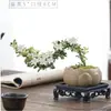 Bonsái Nieve de Junio Tocón Viejo Planta Pequeña en Maceta Planta Verde de Doble Flor Diseño Exquisito Arreglo Floral Decoración de Escritorio de Oficina