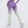 Pantalones de yoga deportivos sin costuras Alpha europeos y americanos, de cintura alta, elásticos y con doble teñido catiónico, para fitness, con degradado