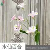 Lírio Narciso 6 Cabeças Glória da Manhã Casamento Palco Corredor Arranjo Flores Artificiais Sala de Estar Decoração de Casa Flores de Seda