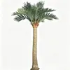 Árbol de coco artificial a gran escala, fibra de vidrio, resistente a los rayos UV, apto para uso en exteriores e interiores, ideal para hoteles, centros comerciales y diseño de paisajes tropicales