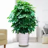 Planta em Vaso de Madeira Pé de Pato Bafanglaicai Planta Verde Grande Planta Verde de Interior Árvore da Fortuna Árvore da Fortuna Árvore da Felicidade Árvore da Paz