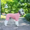 Nuevo suéter para mascotas suministro directo de fábrica estilo otoño e invierno ropa para gatos y perros suéter de punto de lana para perro y gato comercio exterior transfronterizo