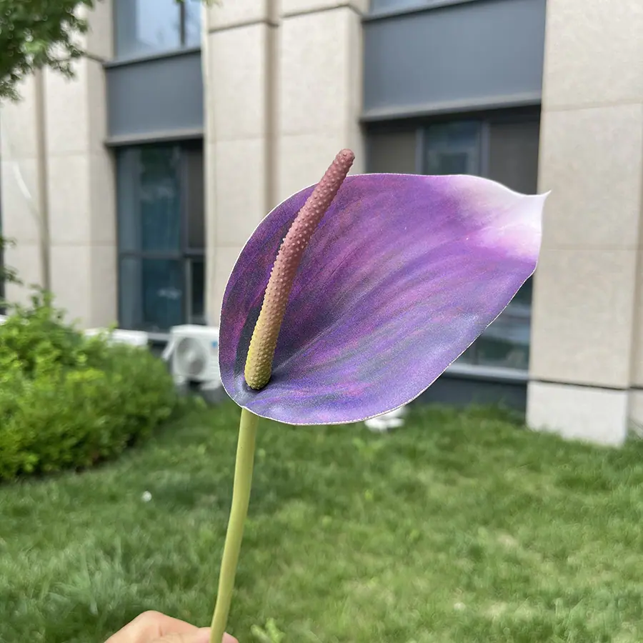 单支3D打印EVA鲁米那掌-xjmlkx 10#深紫红.JP
