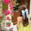 Amantes de Flores Grampo Top Laço Penteado Coreano Acessórios de Cabelo para a Parte de Trás da Cabeça Mulheres Grampo Top jk Grampo de Penteado Acessório de Cabeça Mulheres