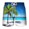 Pantalones de playa deportivos de ocio para hombre, venta al por mayor, impresión digital 3D, para vacaciones de verano en la playa, 2023