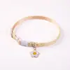 Nuevo collar para mascotas, collar para perros, ajustable para todas las estaciones, accesorios para gatos, accesorios para perros pequeños al por mayor
