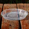 Bandeja de Vaso de Flor Transparente com Borda Plana Base de Plástico para Vaso de Flor Bandeja de Água Base Redonda para Vaso de Flor