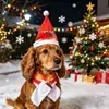 Nuevo Set Navideño de Sombrero y Bufanda Estampada para Mascotas Gatos y Perros Venta Caliente Transfronteriza Set Navideño Dos