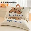 Funda de Almohada de Terciopelo de Leche Engrosada 48X74cm Paquete Doble Invierno para Niños y Adultos Funda Interior para Almohada Individual del Hogar