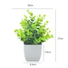 Flores Artificiais de Simulação Decorações Criativas para Mesa de Casa Flores de Plástico Grama Artificial Plantas Verdes Decorações de Interior Mini Decorações Bonsai