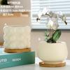 Maceta de cerámica de una pieza para el cabello, extragrande, ligera, de lujo, estilo Ins, de alta calidad, para el hogar, con flores carnosas de Phalaenopsis.