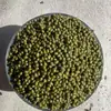 Frijoles mungo frescos de granja, productos de temporada nuevos, frijoles mungo en bolsas pequeñas, papilla de frijol mungo, pastel de frijol mungo, ingredientes para batido de frijol mungo
