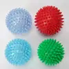 Bola de Massagem Equipamento Tátil Auxílios de Ensino para Bebês Escova Sensorial Brinquedo de Treinamento Sensorial Infantil Educação Infantil Bola Pequena Espinhosa Bola de Tocar