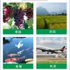 Suministro transfronterizo, mallas para pájaros en aeropuertos, siembra y cría agrícola, mallas para pájaros en estanques, mallas protectoras de monofilamento de nylon para aeropuertos