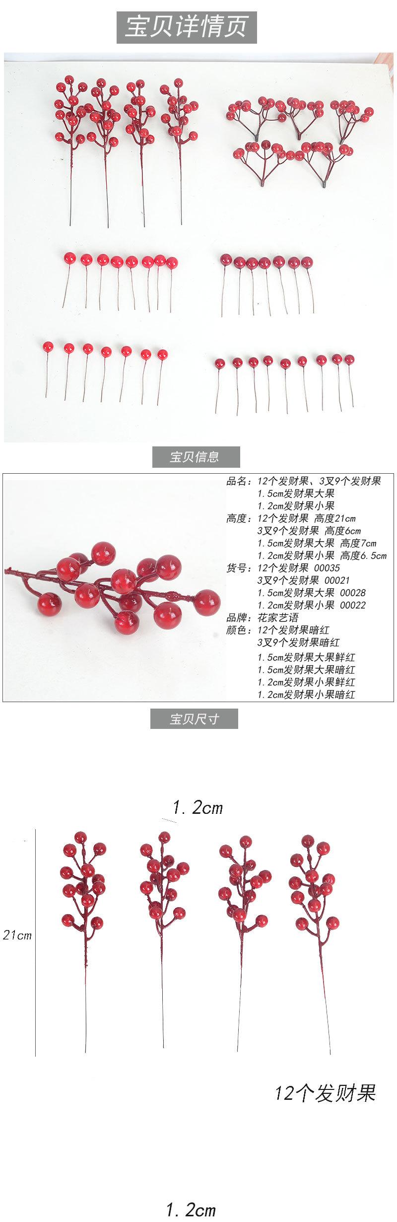 -发财果--_01.jpg