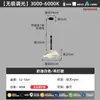Lámpara de Techo Minimalista Estilo Japonés para Dormitorio Color Cáscara de Huevo Vintage Francés Lámpara Color Nogal Retro para Dormitorio Principal Sala de Estudio