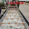 Máquina Limpiadora Automática Completa de Cangrejos de Río, Equipo Completo para Procesamiento Profundo, Limpieza, Clasificación, Cocción al Vapor, Enfriamiento y Empaquetado de Cangrejos de Río