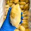 Durian Musang King Tailandês, Grau A, Amadurecido na Árvore, com Sementes, Polpa de Durian Congelada, Ingredientes Especiais para Buffet de Durian Assado, Atacado