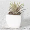 Vaso Combinado Cerâmico para Bonsai com Suculentas Simuladas Personalizado Decorações de Plantas Verdes Decoração de Escritório Mesa Casa Plantas Verdes Plantas em Vasos