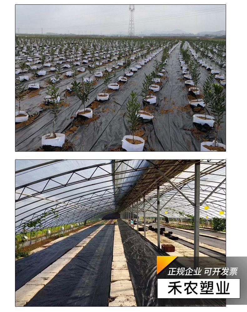 微信图片_20230412212953_副本