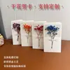 Flores Secas Gipsófila Frescas y Sencillas Regalo de Cumpleaños para Empleado Tarjeta de Felicitación para el Día del Maestro Tarjeta de Regalo de Bendición para el Festival de Medio Otoño