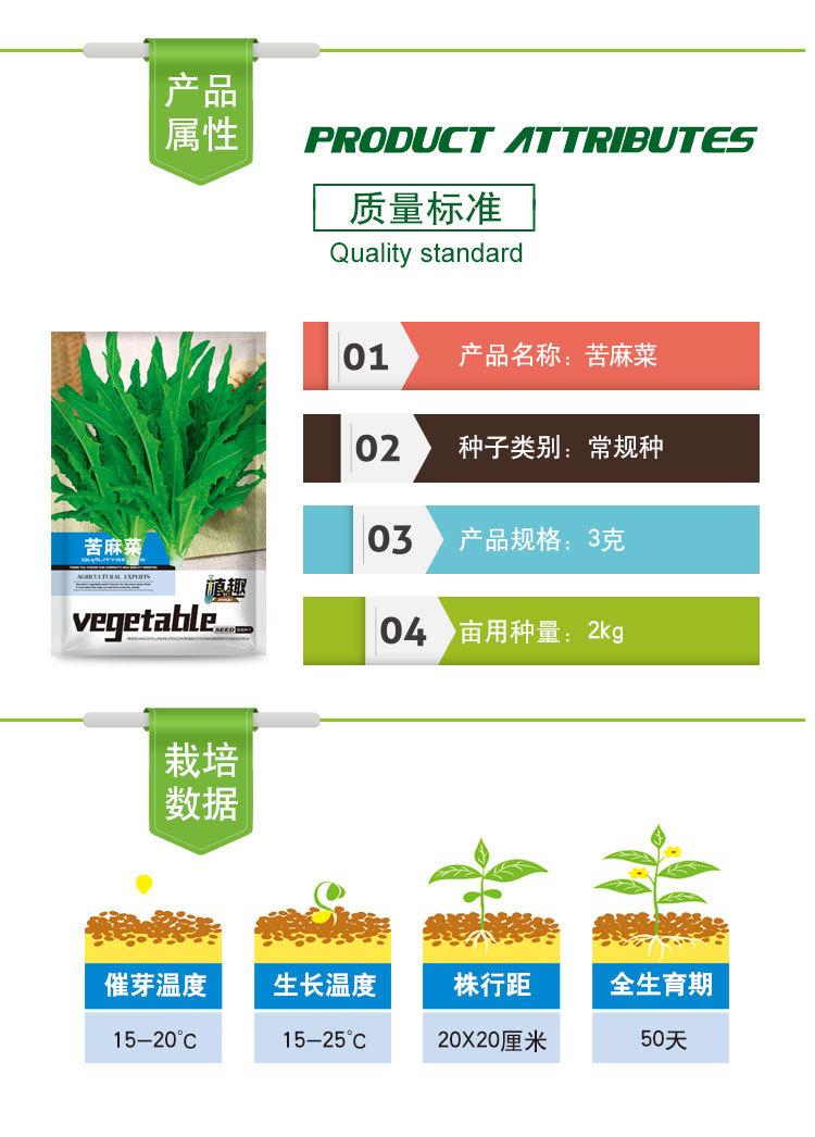 苦麻菜-1