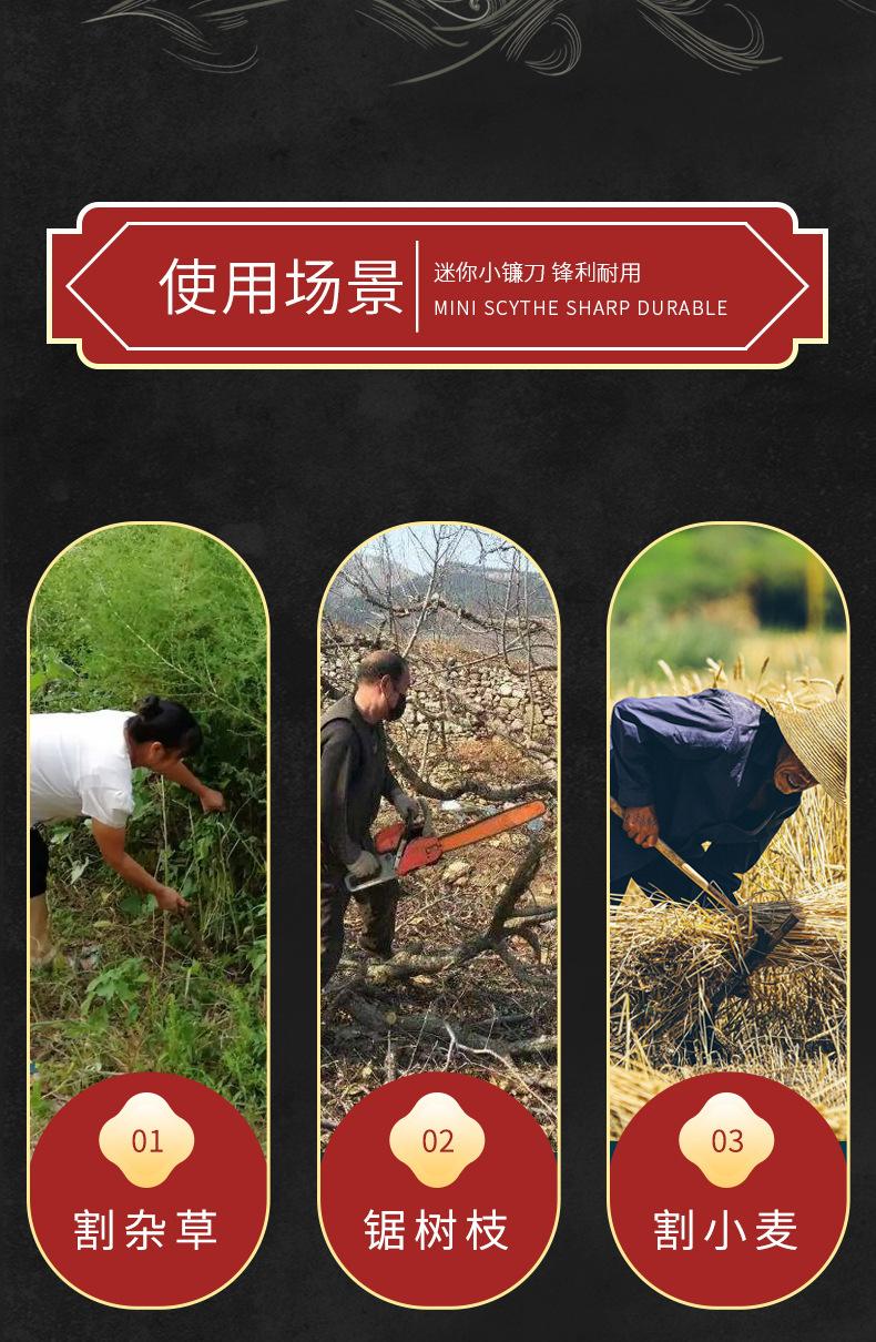 详情_02.jpg