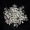 Gypsophila Artificial Suave al Tacto, Gypsophila de 3 Puntas para Decoración de Bodas, Flores Artificiales de Plástico, Artículo Popular Transfronterizo